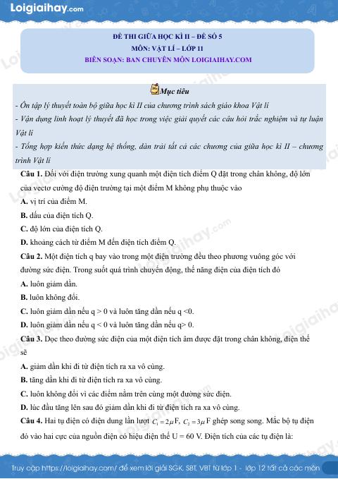 Đề thi giữa học kì 2 Vật lí 11 Cánh diều - Đề số 5